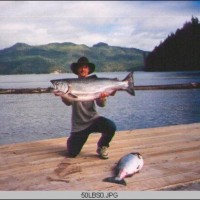 004-chinook-salmon